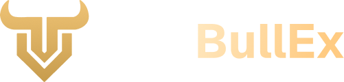 OneBullEx